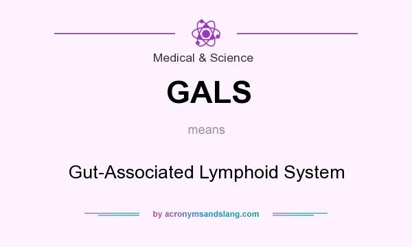 What does GALS mean? It stands for Gut-Associated Lymphoid System