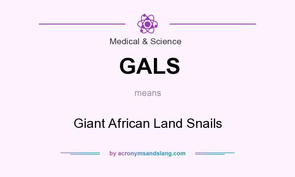 What does GALS mean? It stands for Giant African Land Snails