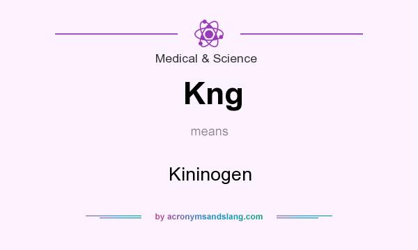 What does Kng mean? It stands for Kininogen