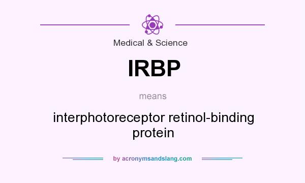 What does IRBP mean? It stands for interphotoreceptor retinol-binding protein