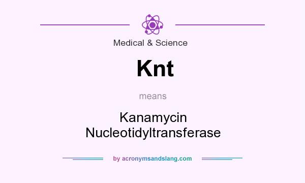 What does Knt mean? It stands for Kanamycin Nucleotidyltransferase