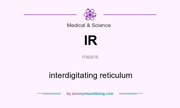What does IR mean? It stands for interdigitating reticulum