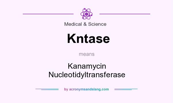 What does Kntase mean? It stands for Kanamycin Nucleotidyltransferase