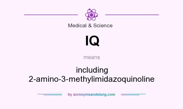 What does IQ mean? It stands for including 2-amino-3-methylimidazoquinoline