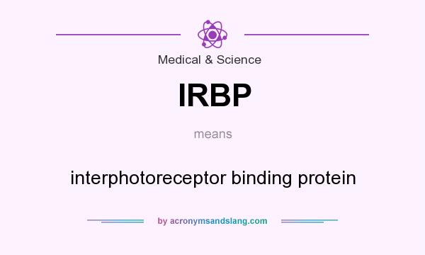 What does IRBP mean? It stands for interphotoreceptor binding protein