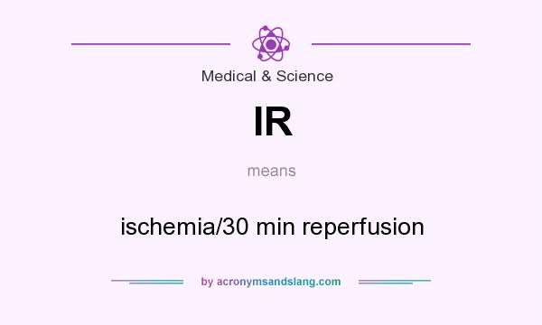 What does IR mean? It stands for ischemia/30 min reperfusion