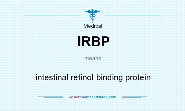 What does IRBP mean? It stands for intestinal retinol-binding protein