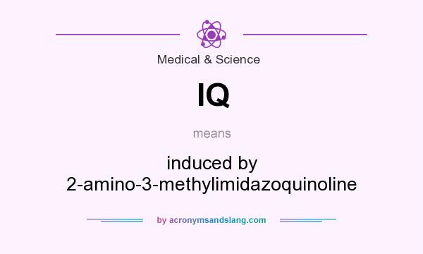 What does IQ mean? It stands for induced by 2-amino-3-methylimidazoquinoline