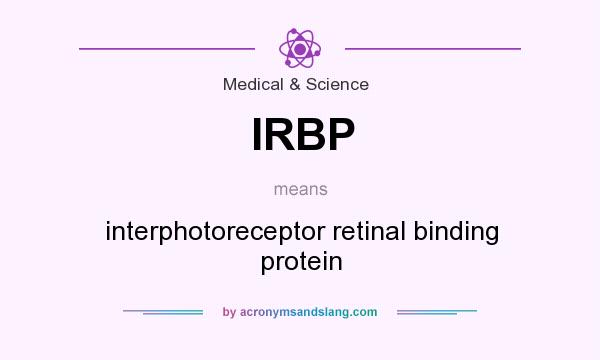 What does IRBP mean? It stands for interphotoreceptor retinal binding protein