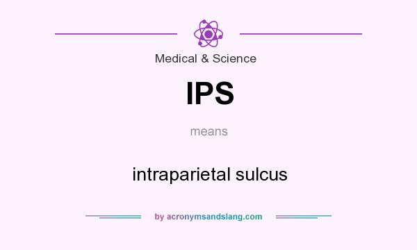 What does IPS mean? It stands for intraparietal sulcus