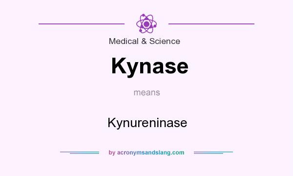 What does Kynase mean? It stands for Kynureninase