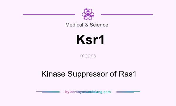 What does Ksr1 mean? It stands for Kinase Suppressor of Ras1