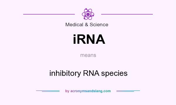 What does iRNA mean? It stands for inhibitory RNA species