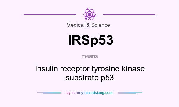 What does IRSp53 mean? It stands for insulin receptor tyrosine kinase substrate p53