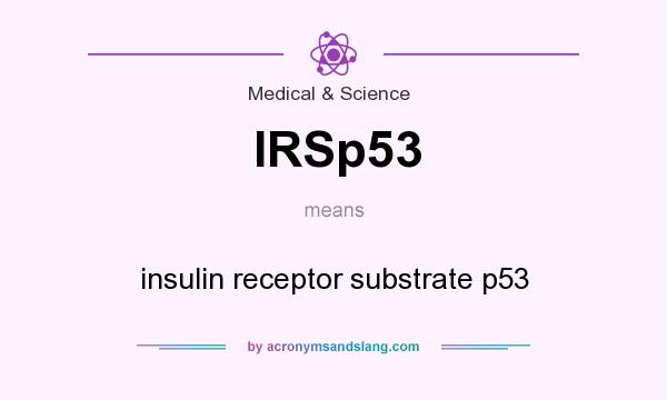What does IRSp53 mean? It stands for insulin receptor substrate p53