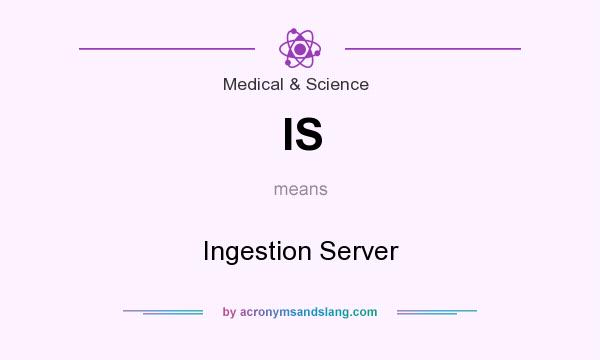 What does IS mean? It stands for Ingestion Server