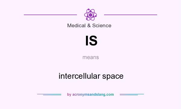 What does IS mean? It stands for intercellular space