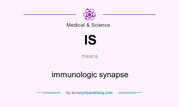 What does IS mean? It stands for immunologic synapse