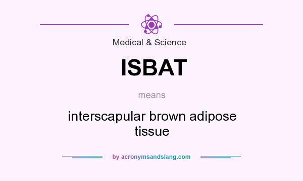 What does ISBAT mean? It stands for interscapular brown adipose tissue
