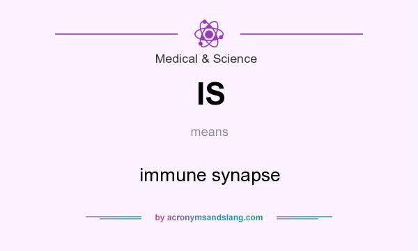 What does IS mean? It stands for immune synapse