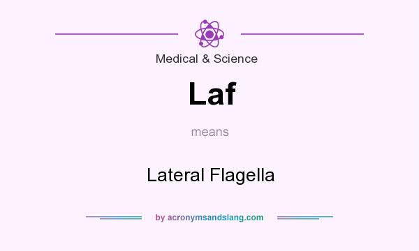 What does Laf mean? It stands for Lateral Flagella