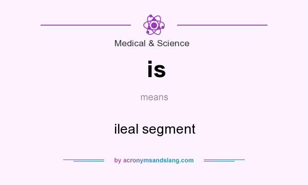 What does is mean? It stands for ileal segment