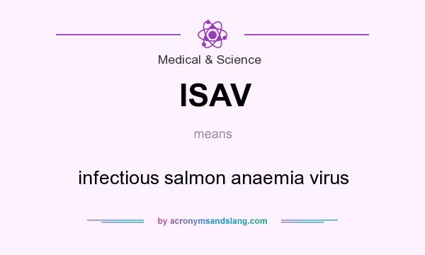 What does ISAV mean? It stands for infectious salmon anaemia virus