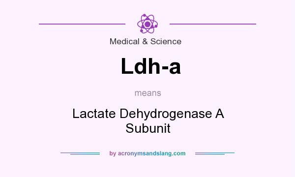 What does Ldh-a mean? It stands for Lactate Dehydrogenase A Subunit