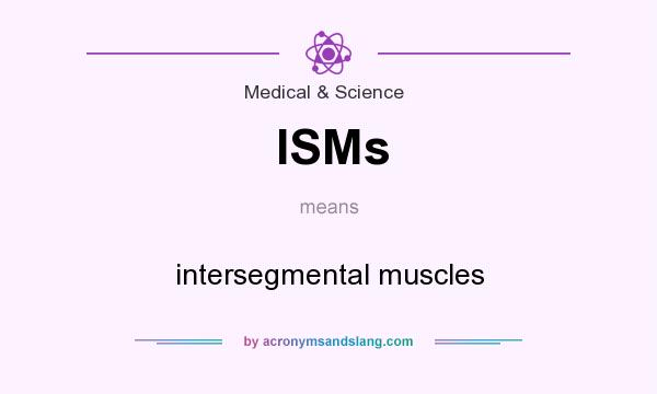 What does ISMs mean? It stands for intersegmental muscles