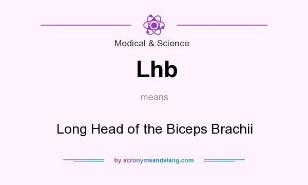 What does Lhb mean? It stands for Long Head of the Biceps Brachii