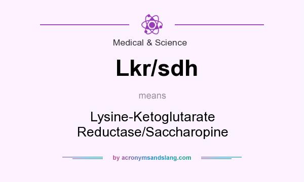 What does Lkr/sdh mean? It stands for Lysine-Ketoglutarate Reductase/Saccharopine