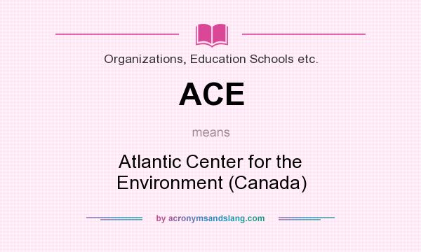 What does ACE mean? It stands for Atlantic Center for the Environment (Canada)