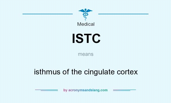 What does ISTC mean? It stands for isthmus of the cingulate cortex
