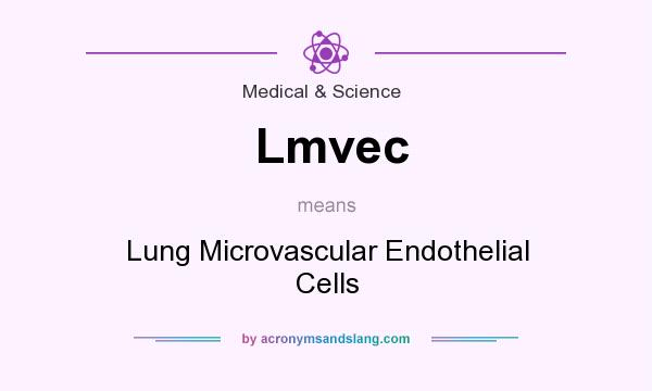 What does Lmvec mean? It stands for Lung Microvascular Endothelial Cells