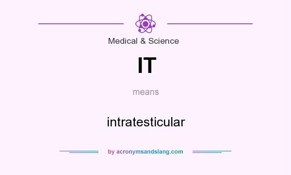 What does IT mean? It stands for intratesticular