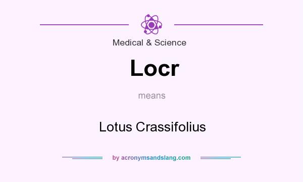 What does Locr mean? It stands for Lotus Crassifolius