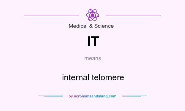 What does IT mean? It stands for internal telomere