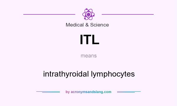 What does ITL mean? It stands for intrathyroidal lymphocytes