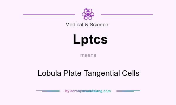 What does Lptcs mean? It stands for Lobula Plate Tangential Cells