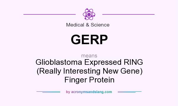 What does GERP mean? It stands for Glioblastoma Expressed RING (Really Interesting New Gene) Finger Protein