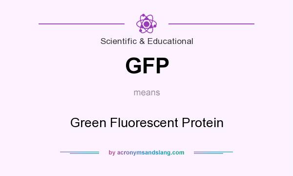 What does GFP mean? It stands for Green Fluorescent Protein