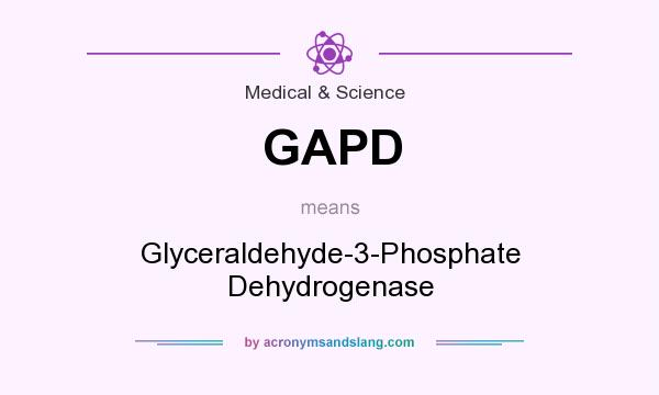 What does GAPD mean? It stands for Glyceraldehyde-3-Phosphate Dehydrogenase