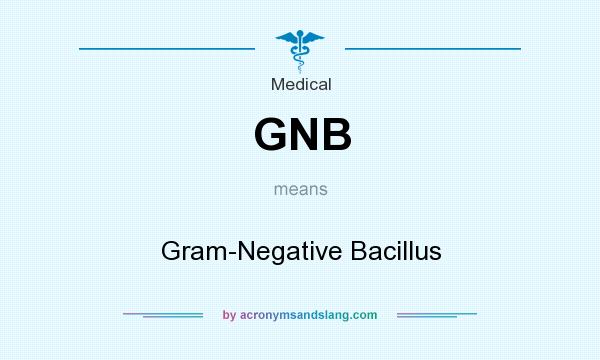 What does GNB mean? It stands for Gram-Negative Bacillus