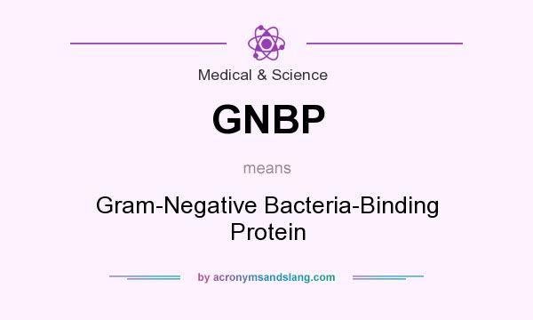 What does GNBP mean? It stands for Gram-Negative Bacteria-Binding Protein