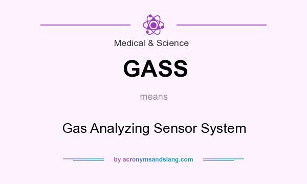 What does GASS mean? It stands for Gas Analyzing Sensor System