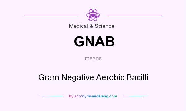 What does GNAB mean? It stands for Gram Negative Aerobic Bacilli