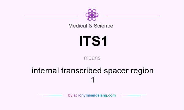 What does ITS1 mean? It stands for internal transcribed spacer region 1