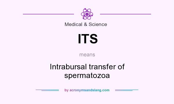 What does ITS mean? It stands for Intrabursal transfer of spermatozoa