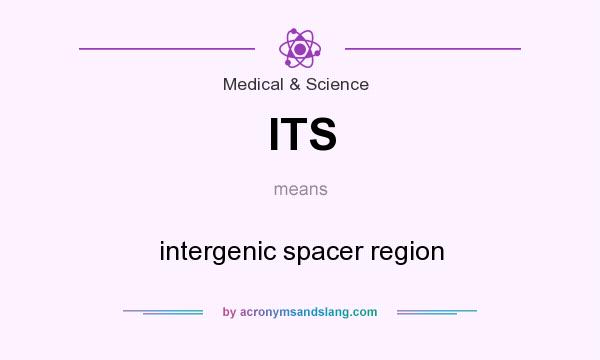 What does ITS mean? It stands for intergenic spacer region
