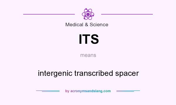 What does ITS mean? It stands for intergenic transcribed spacer